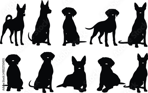 Collection of various dog breeds in silhouette against a white background