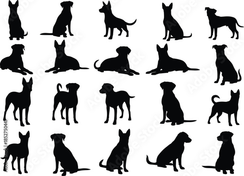 Collection of various dog breeds in different sitting and standing poses in silhouette