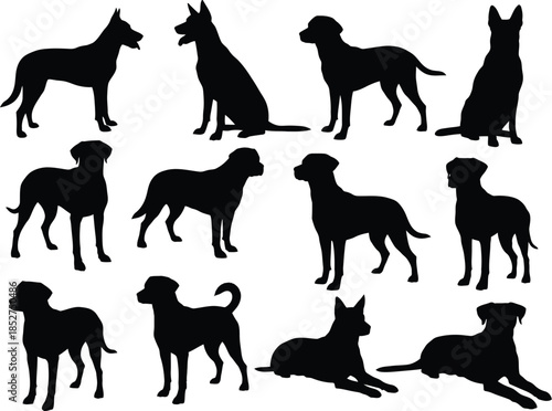 Collection of various dog breeds in different poses and stances in silhouette