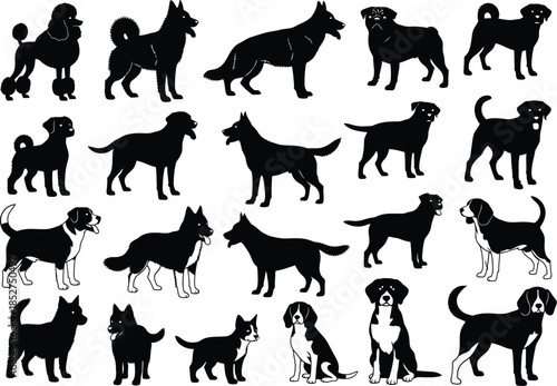 Collection of various dog breeds in silhouette against a white background