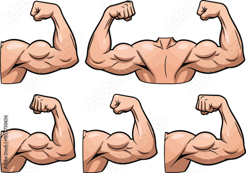 Illustration of multiple flexed bicep muscles in different positions and angles