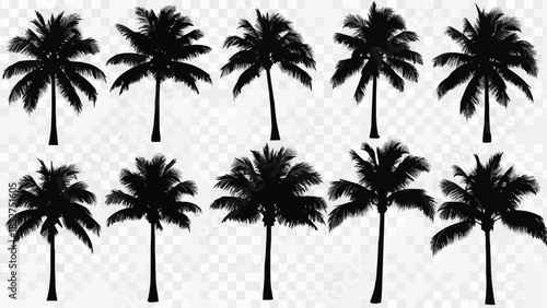 palm trees silhouettes