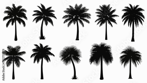 set of palm trees