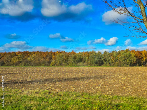 Bright Autumn Day Over the Field