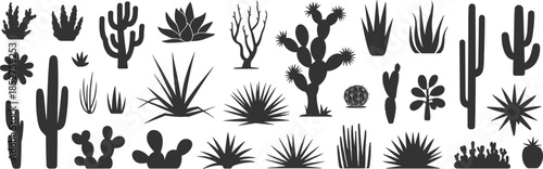 Desert cactus silhouette set, succulent agave plant shapes collection, arid nature botanical icons, cad drawing flat vector illustration