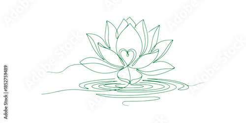 continuous line drawing of a lotus. It symbolizes beauty, nature, and love. The ecology of aquatic plants is included. A hand-drawn design of a water lily flower