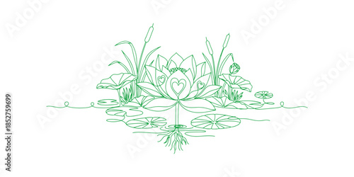 A continuous line drawing of a lotus. It embodies beauty, nature, and love. The ecology of aquatic plants is highlighted. A hand-drawn design of a water lily flower in a single outline sketch. Vector 