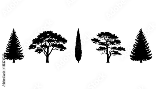 Evergreen Conifer Tree Silhouettes Collection
