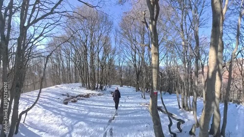 Monte Lema, Varese, Italy: A tranquil silence surrounds her as she walks in the winter wood.
