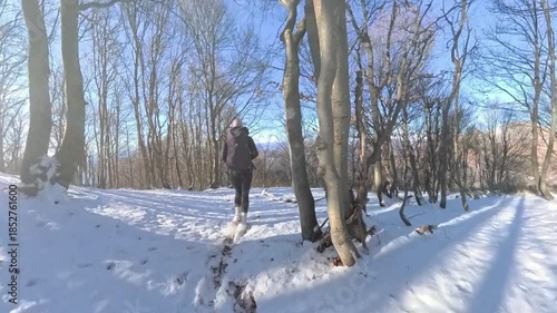Monte Lema, Varese, Italy: follow an woman hiker in the wood