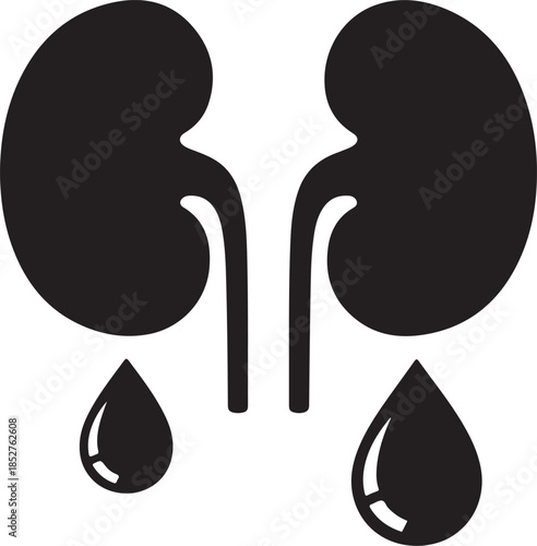 Black silhouette icon of human kidneys with drops