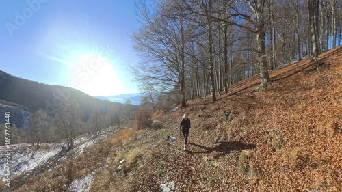 Monte Lema, Varese, Italy: A lone hiker woman walks softly on a foliage trail beneath bare tress