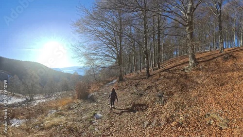Monte Lema, Varese, Italy: A calm solitude surrounds her in the foliage forest silence.