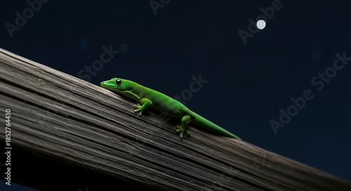 Vibrant Green Gecko Ascends a Textured Wooden Branch Under a Dark Night Sky with a Distant Moon.