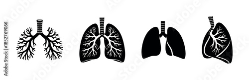 Human lungs vector illustration, flat vector style, medical anatomy silhouettes