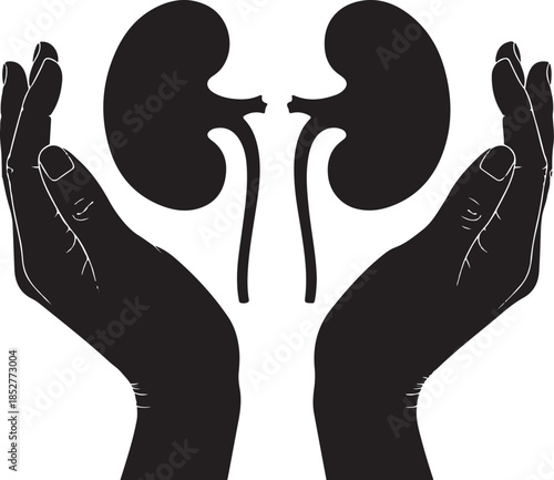 Human hands protecting kidneys health symbol