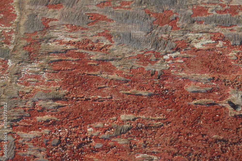 Obraz premium red carpet texture