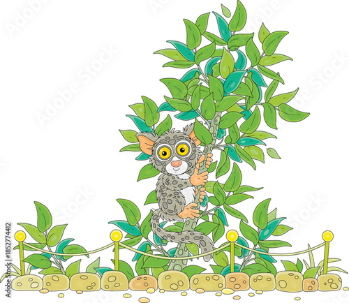 Funny exotic Philippine tarsier on a small tropical tree in an open-air cage of a zoological garden, vector cartoon illustration on a white background