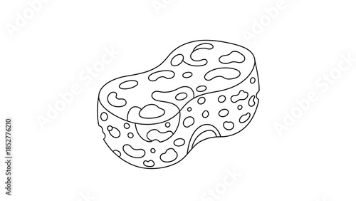 Simple Line Drawing of a Textured Sponge.