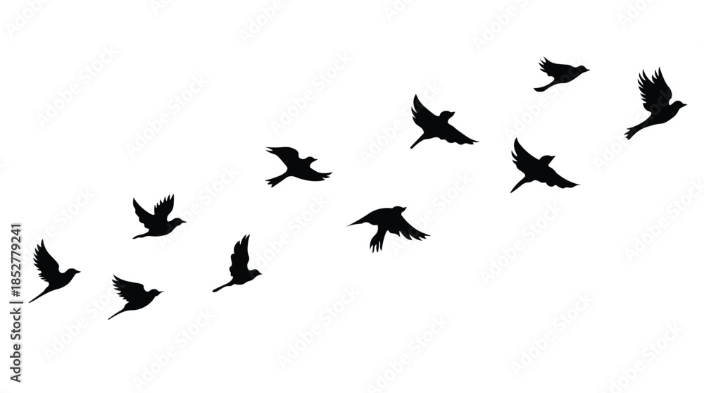 Fototapeta premium Flying Birds Silhouette Flock Isolated on White Background