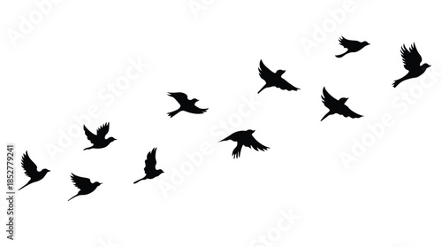 Flying Birds Silhouette Flock Isolated on White Background