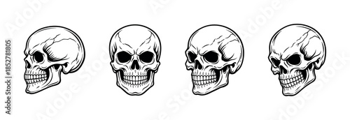 Skull vector illustration set, gothic style, flat vector, creepy, spooky designs
