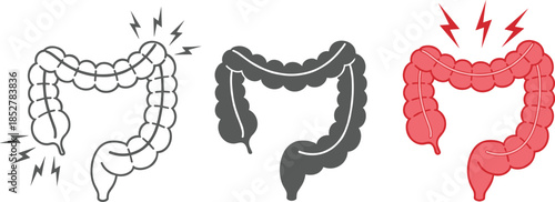 Human colon with pain isolated on white background digestive system problem intestine disease bowel inflammation gut infection gastroenterology concept vector illustration