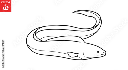 Illustration of an eel isolated on white background, showcasing its elongated body, smooth skin, and distinctive dorsal fin in a minimalist black and white style