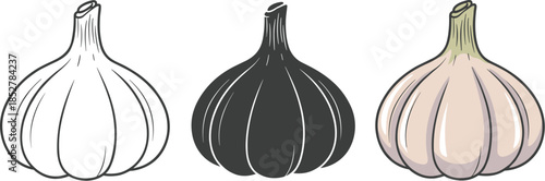 Garlic bulb set isolated on white background hand drawn vector illustration of garlic in different styles outline, silhouette and colored healthy food