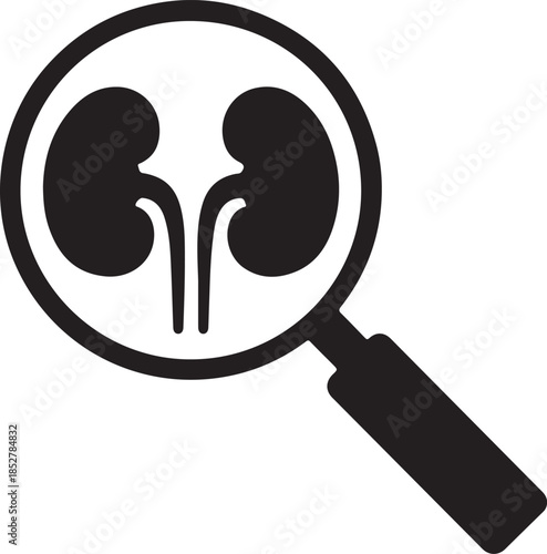 Kidney examination and diagnosis icon