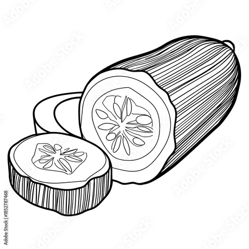 Black and white illustration of a cucumber with sliced sections