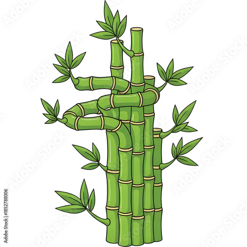 Lucky bamboo vector ornament