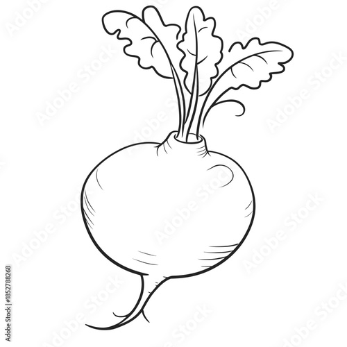 Black and white illustration of a radish with green leaves