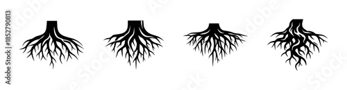 Tree roots set, flat vector illustration, plant elements, black silhouette design