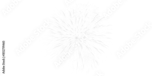 Dazzling black and white fireworks burst against a dark night sky celebrating festive moments a spectacular light show