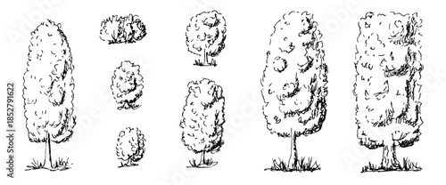 Black and white tree line drawings collection. Sketch forest illustrations with oak, pine, and maple outlines. Simple doodle art set for nature project. Vector doodle trees isolated on transparent bg.
