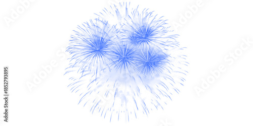 Vibrant Blue Fireworks Bursting in Night Sky Celebration Spectacular Pyrotechnic Display for Festivals Events and Joyful