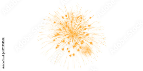 Golden orange fireworks burst dazzling night sky Celebration event vibrant pyrotechnics display festive party joy