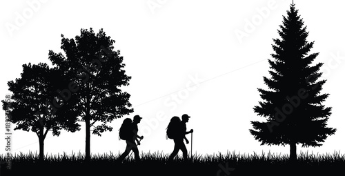 Black vector silhouette of two hikers with backpacks walking on grass near forest trees isolated on white background