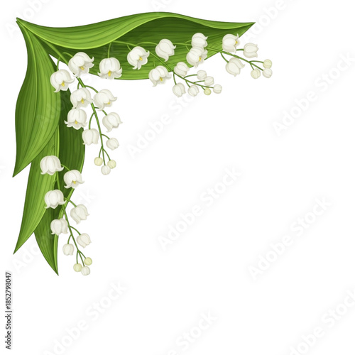 Delicate White Lily of the Valley Corner Frame Illustration - Bell Flower Border Vector Design with Green Leaves for Spring Weddings, Invitations, Logos, Clipart | Isolated Transparent Background