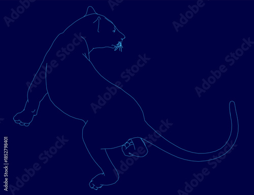 A sleek black panther stands powerfully against a vibrant blue background. Its realistic contour and intense gaze create a dramatic contrast, ideal for digital wallpapers.