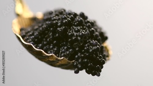 Black Caviar in golden spoon. High quality natural sturgeon black caviar close-up. Delicatessen. Texture of expensive luxury caviar on grey background. Slow motion 