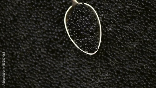 Black Caviar in silver spoon over caviar backdrop. High quality natural sturgeon black caviar close-up. Delicatessen. Texture of expensive luxury caviar background. Slow motion, top view 