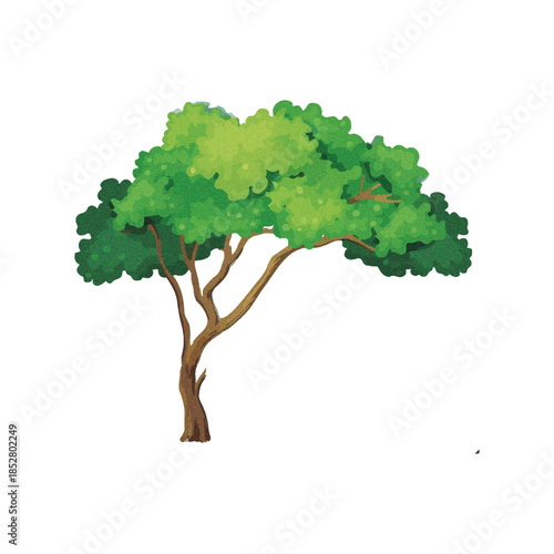 A vibrant green tree with a sturdy trunk and a full canopy of leaves, symbolizing nature's growth and vitality