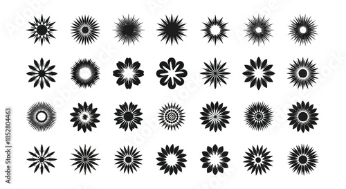 Collection of black floral designs on white background vector