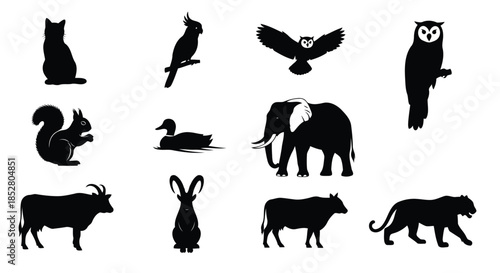 Collection of animal silhouettes isolated on white background vector