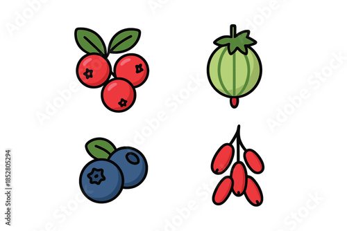 Four types of berries and fruits icons on a dark background