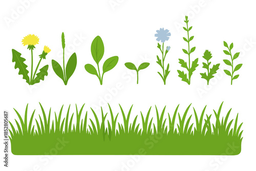 Luminous Greenery and Wildflowers on Dark Background