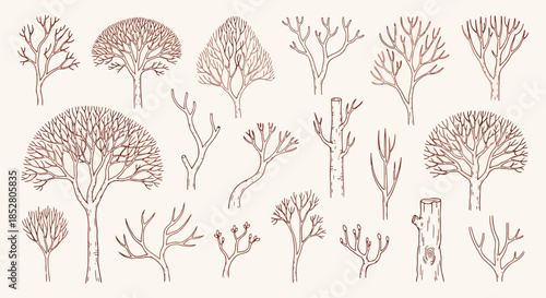 Collection of bare tree silhouettes on beige background vector