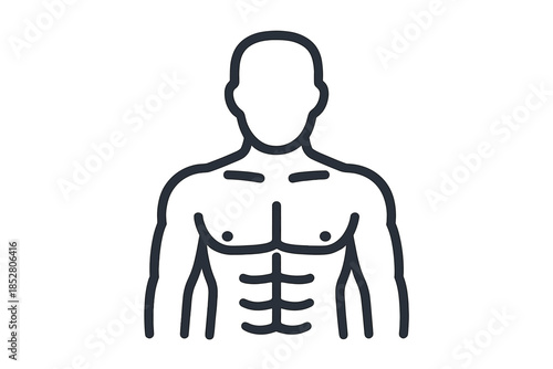 Abstract outline of a muscular male torso